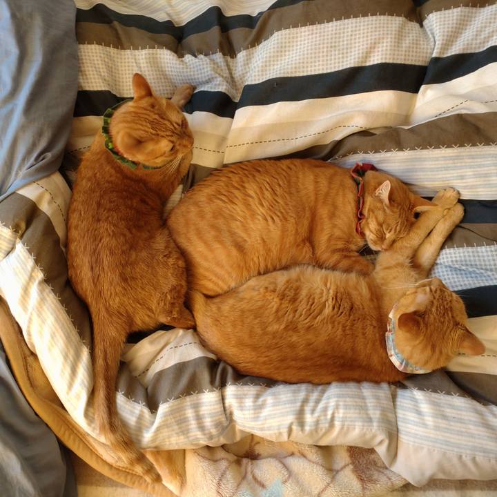 5b5a7ded b701 431e b271 99c9291a0567 1639552872277