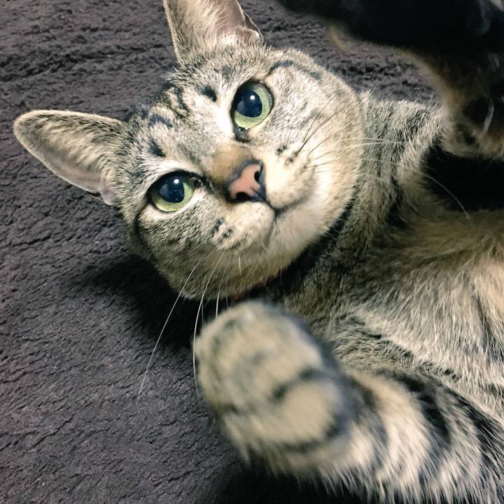 5b5acf55 7fd0 4509 98cb 8f9fb229a461 1522541948338