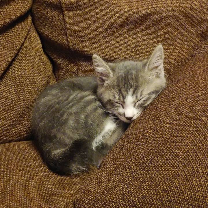 5b5ad0ec 5942 4fc0 a10c 964007c478aa 1592718232275