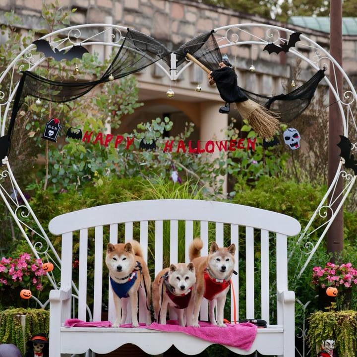 5b5b3289 3201 4edf 8e26 961f7bd0c52e 1761231866038