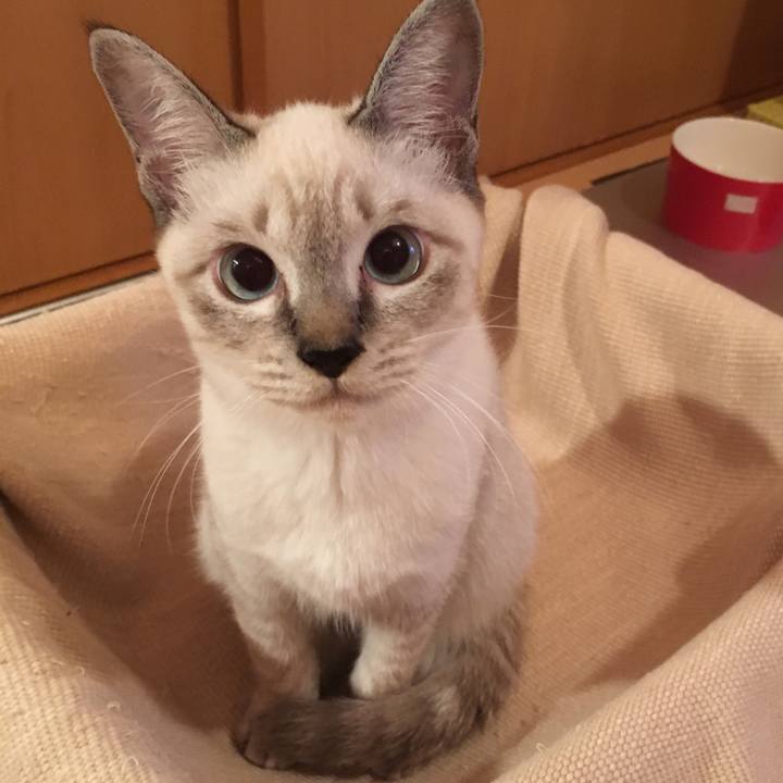 5b5b4a3f 08c5 454d 8d81 ad8a9db71901 1539605375804