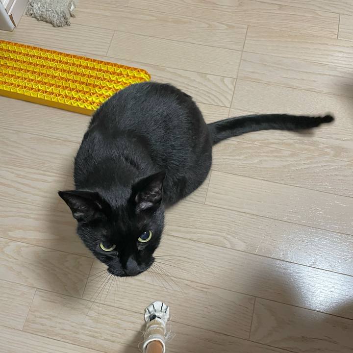 5b5b9978 eb92 4955 beba debe3f24f518 1666446087211