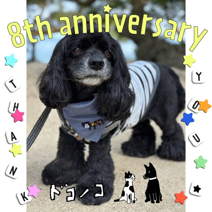 5b5bdb6c 5e64 4f93 99c4 63d4309d6c43 1717579096081