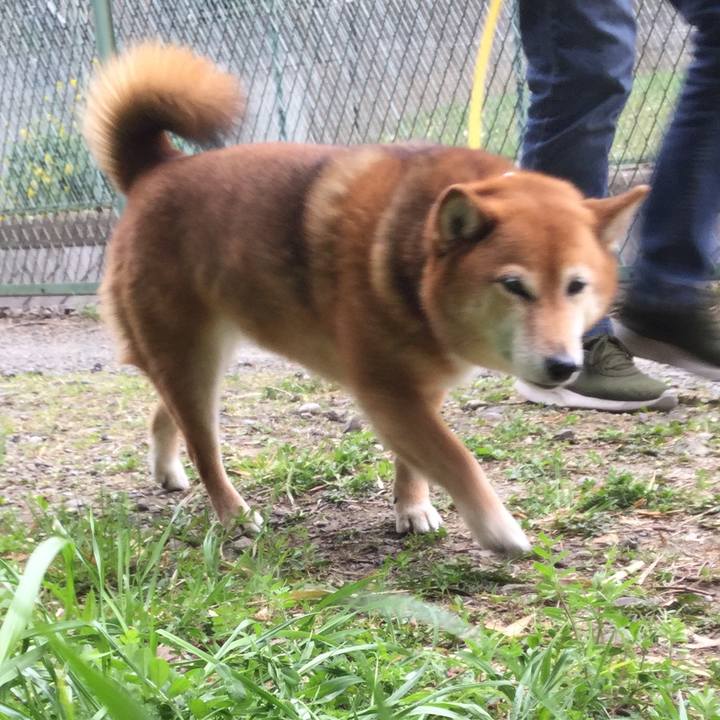 5b5c24a1 8970 4e73 99d4 3376f387a675 1553316277525