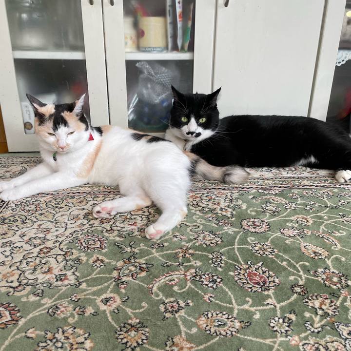 5b5c3d12 876f 4191 a253 ec5630e01e34 1722821705011