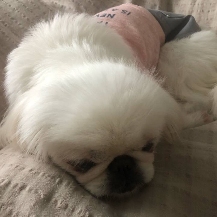 5b5c401c 95fa 4a79 bc82 42282e3bea37 1541996968188