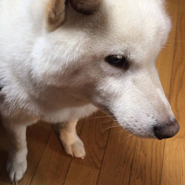 5b5c4cf1 d85d 4261 aab3 d2057c49aba2 1543732232812