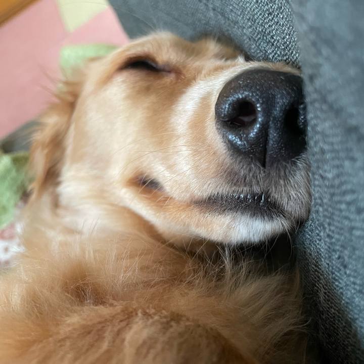 5b5c712d 11fa 4e4f 85a7 b55dc225b2d0 1695882323347