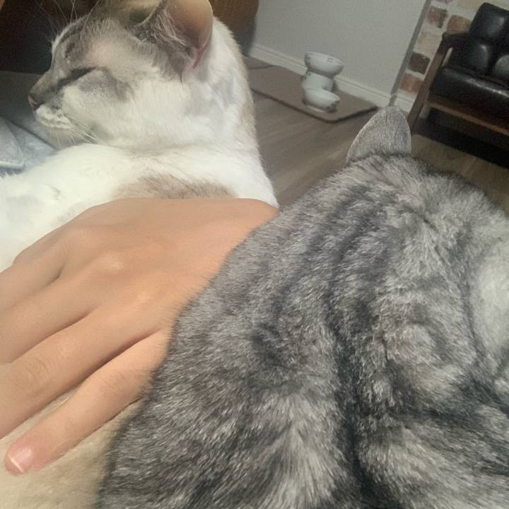 5b5c7905 95aa 4ed5 9c7d ef84d825215c 1667914516622