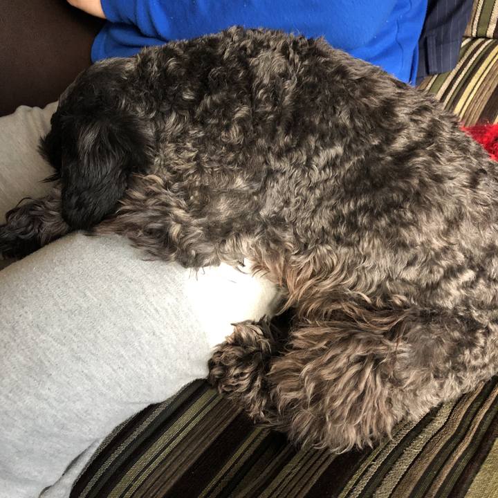 5b5c9fc2 f9b6 40ed 9ba5 0585578ee2cf 1575171097855