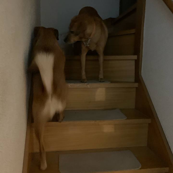 5b5ce75e 2d0c 41e4 bb8d c6cf18f91985 1575466377049