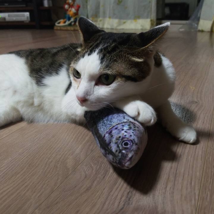 5b5d32d5 4c15 4752 a7f8 2cf8e97e909a 1579814084795