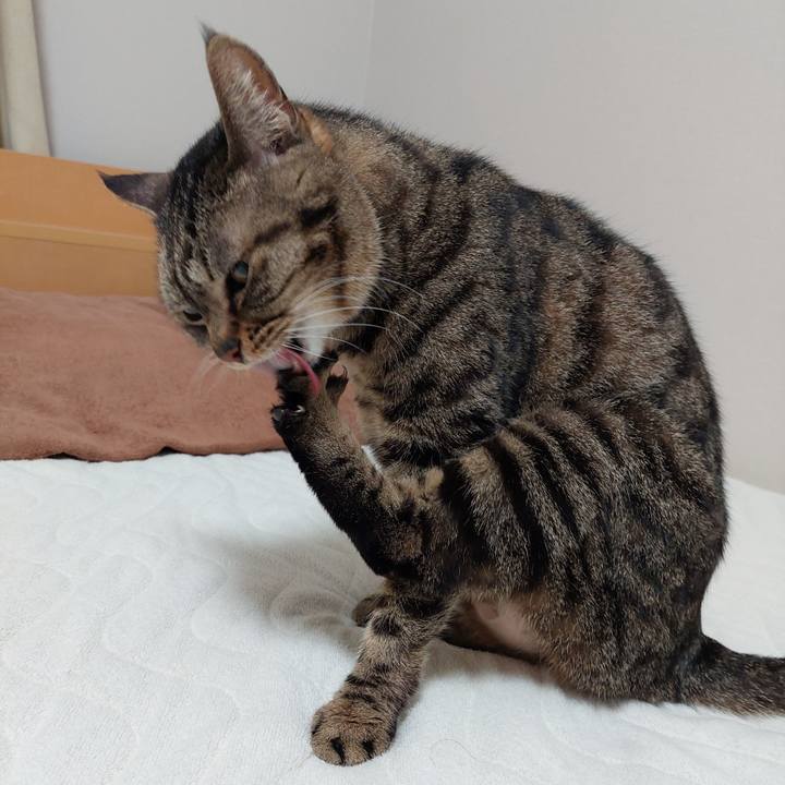 5b5d4a36 3d3d 4629 b7de 43ba617a6c15 1649971564890