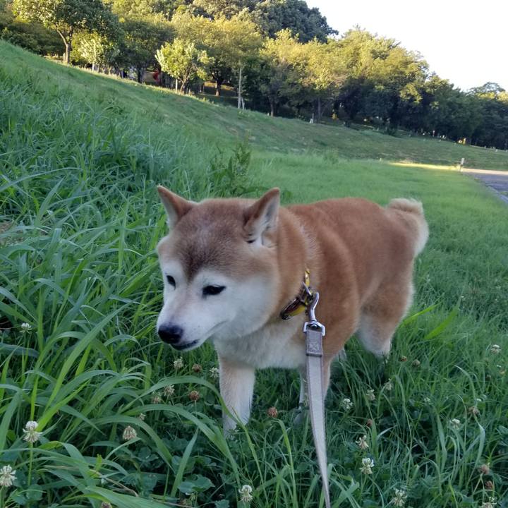 5b5d53b1 7726 4dd2 971d d94c59fcfdaf 1691656389333