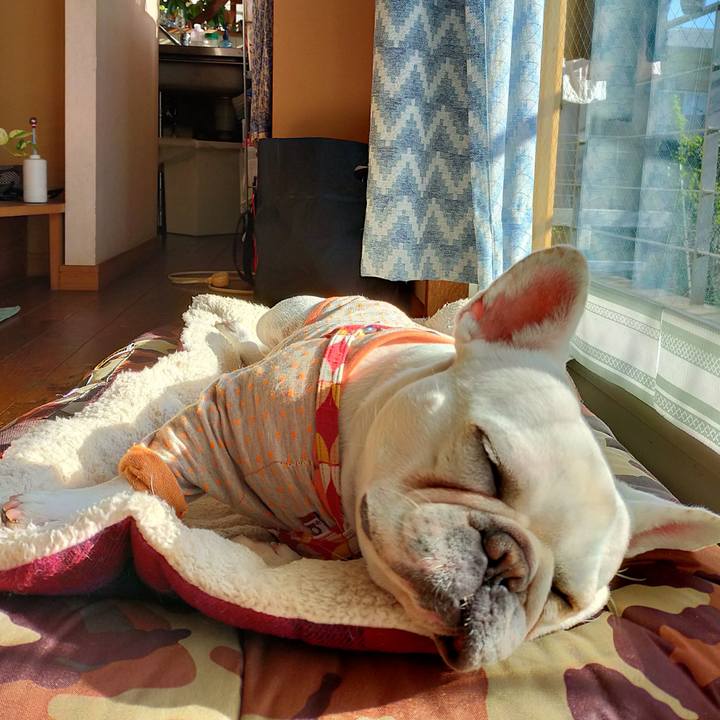 5b5d6bd5 8d8b 4cd6 8f3a e0c7112d9df7 1639559476184