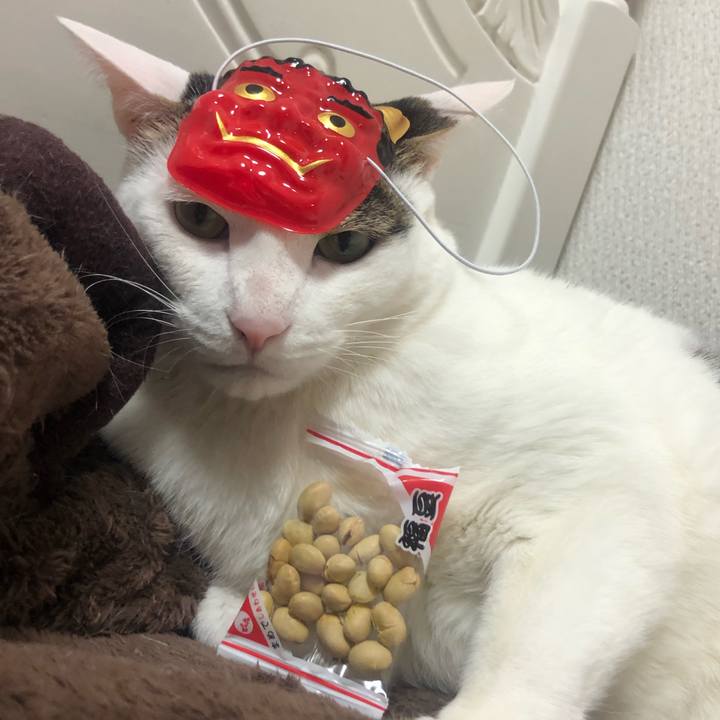 5b5daa65 d421 43d7 984d 4d72bad17b1b 1612255270218