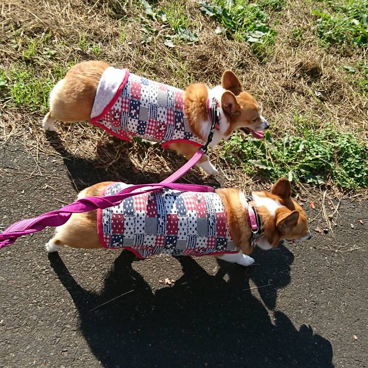 5b5db284 f615 48bb 90d9 cca2f6407081 1542168764688