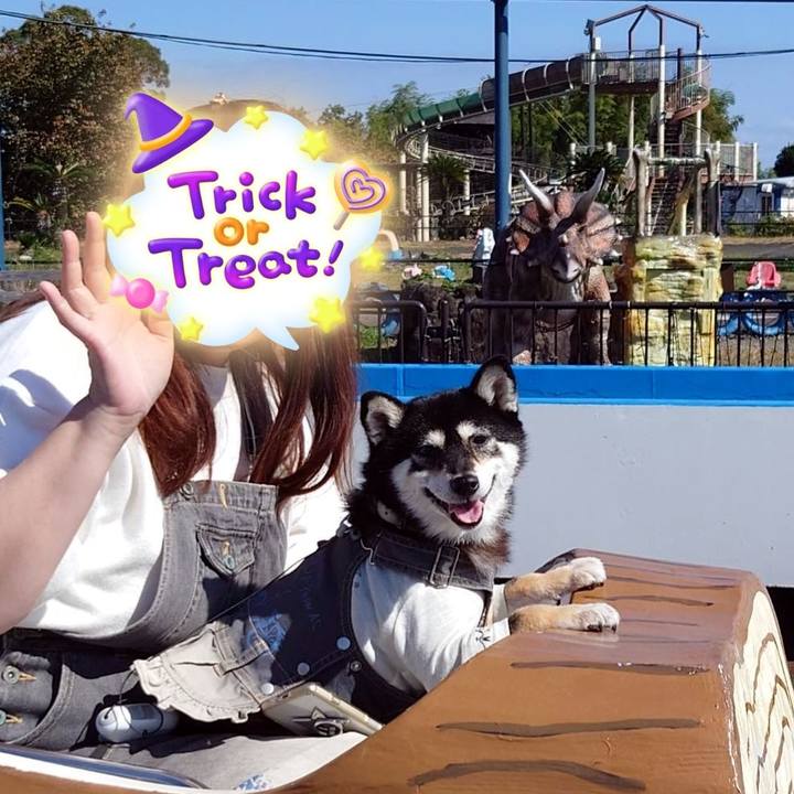 5b5de3bb 61cb 40ea bcac 3de135f652a7 1697955768206