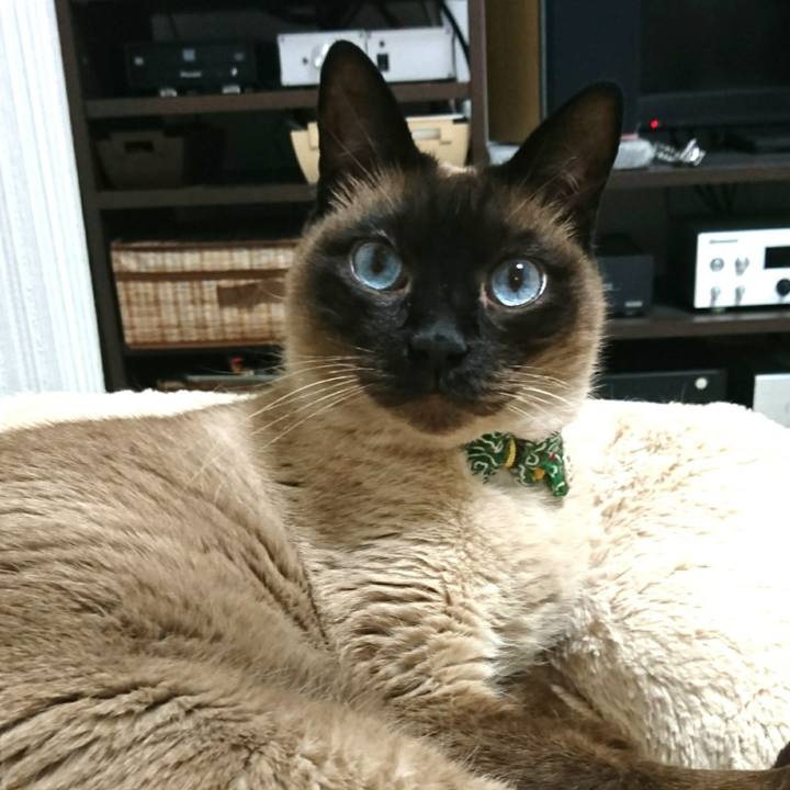 5b5e1eab 2220 4d0e bb1a c12d4fd85e8d 1522936683854