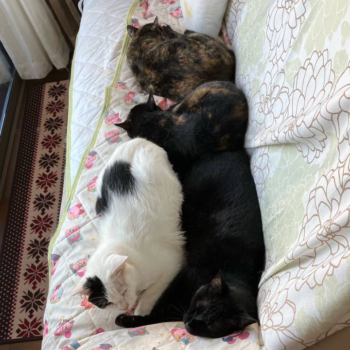 5b5e36a1 439d 4bdc b3a9 83b4c6536e34 1758543290167