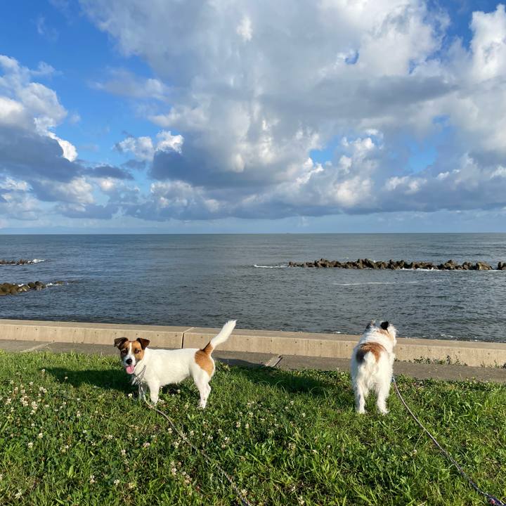 5b5e47aa 61b4 41e4 bb5e 696a38d83e26 1660862767440