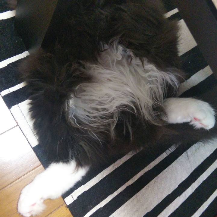 5b5e5705 9d7b 429c 9dcd 688e0eb32a5e 1657017154657