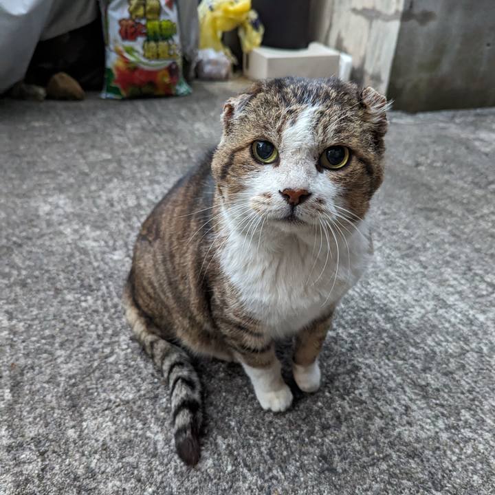 5b5e6ce0 985c 4acd bfad dc2d01e30da1 1707566227346