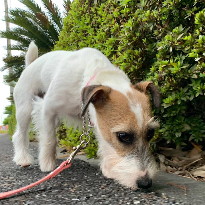 5b5e7a84 de9f 4932 ac79 be6d262e8a2b 1597465609660