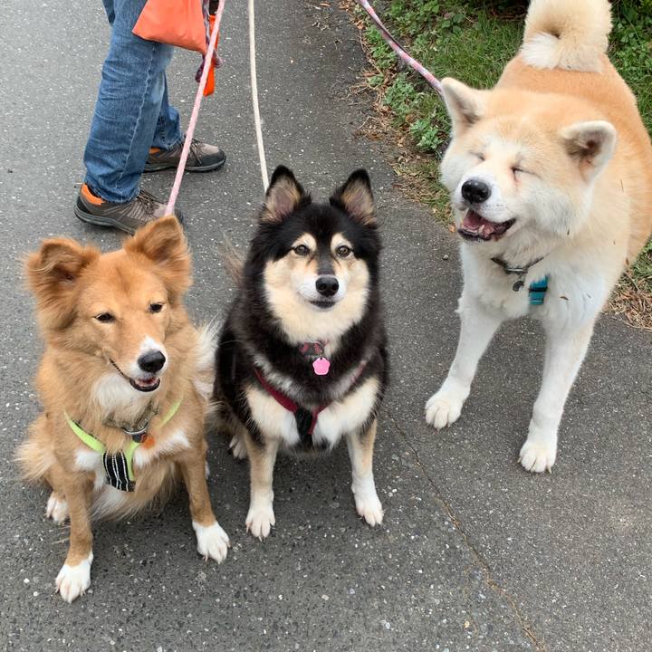 5b5ebf8b 2fc5 4dce 9caa 2c9fecd6c0b8 1573300603555