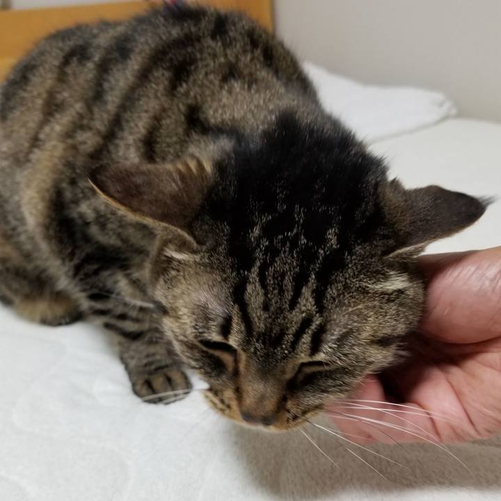 5b5f35d6 51e8 46d5 a308 67a3688abe82 1617916950094