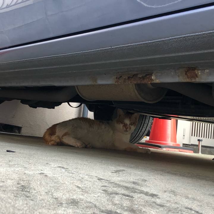 5b5f3c54 bfb5 44ed 80c4 cd6394364f16 1531576121660