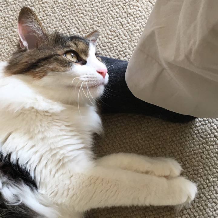 5b5f3d46 dc1e 4018 847a e0fa2dbc19f9 1513388982417