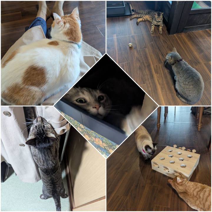 5b5fb6bb 75e6 437a bbd3 9ed8e0096632 1743924233051