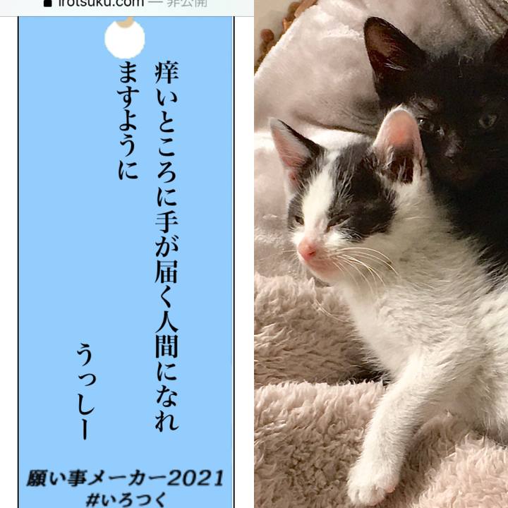 5b5fdf27 86a7 4eca a87f 00c78e23f281 1625650916280