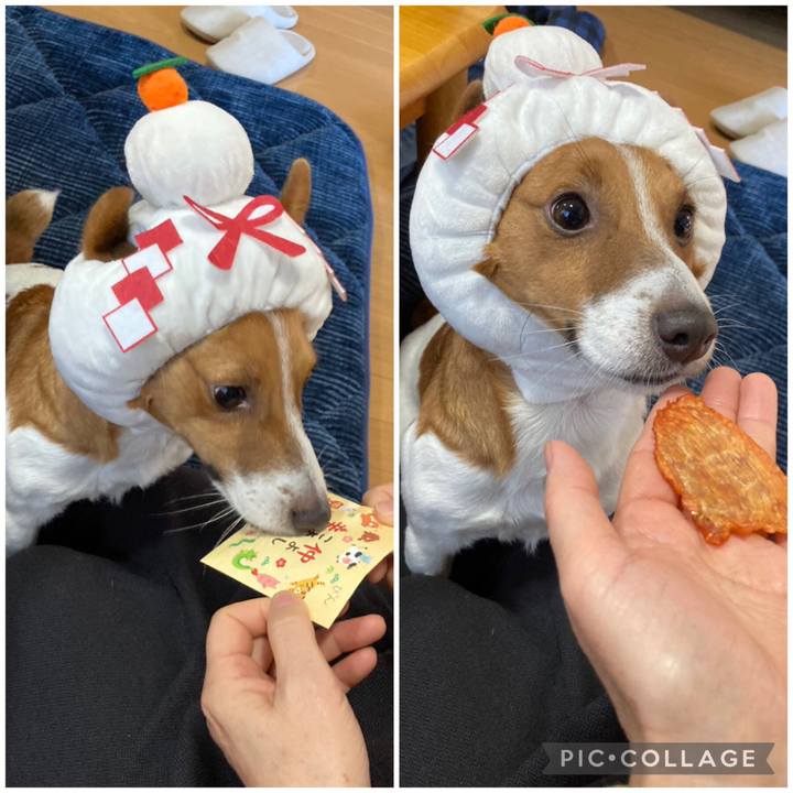 5b60101a bae9 440b b81b 483460f74971 1672661808112