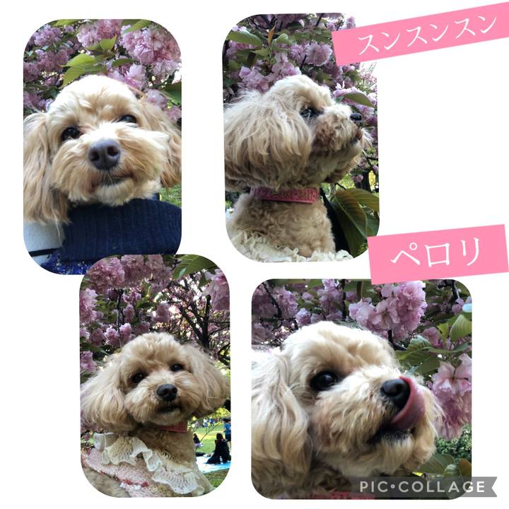 5b602318 3689 4f30 92d2 988682b05824 1681032438991