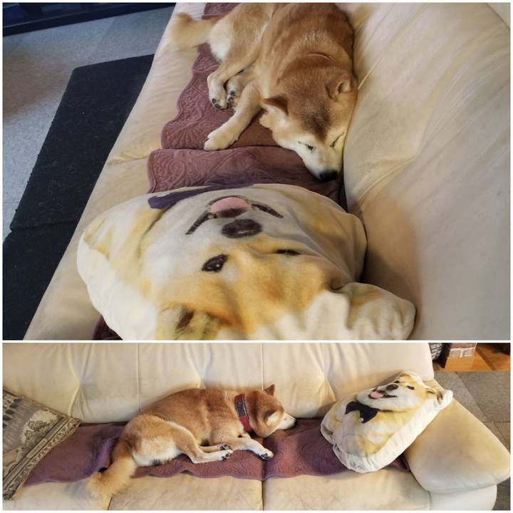 5b602d8e 7878 4cd6 b6ad 3d62da668925 1760343416425