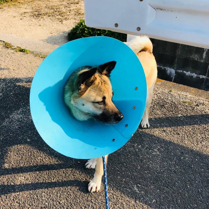 5b603dbc 4582 4856 95ee eb0f676f38e5 1588333943274