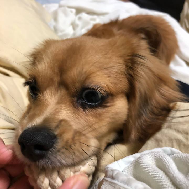 5b6072b9 8aa2 4594 8332 e75cb62e13fc 1508671373895