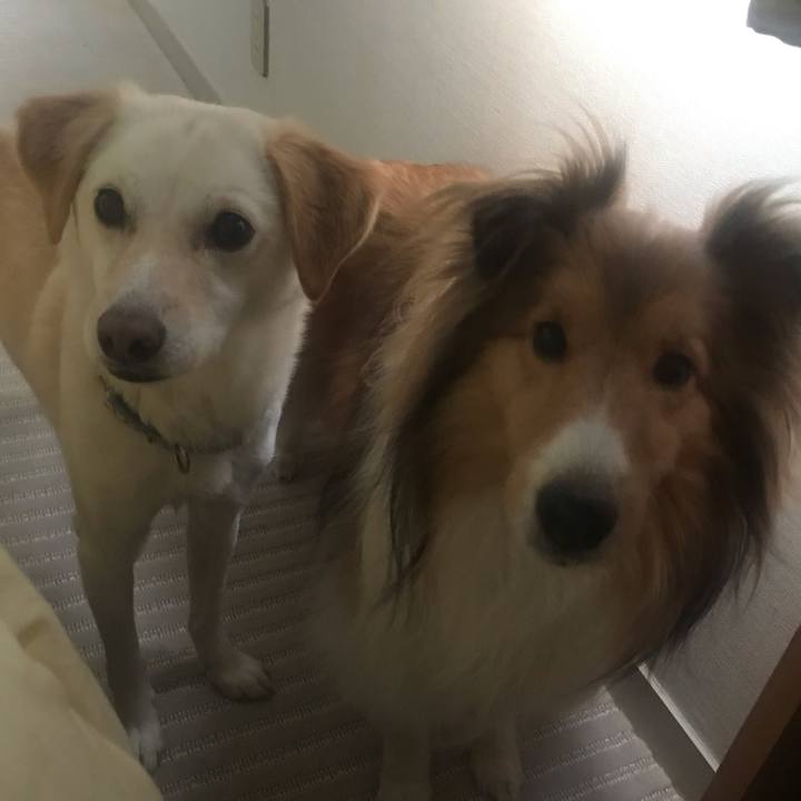 5b60f3e8 dab3 436a 86f1 69596a3a6c9c 1615682377186