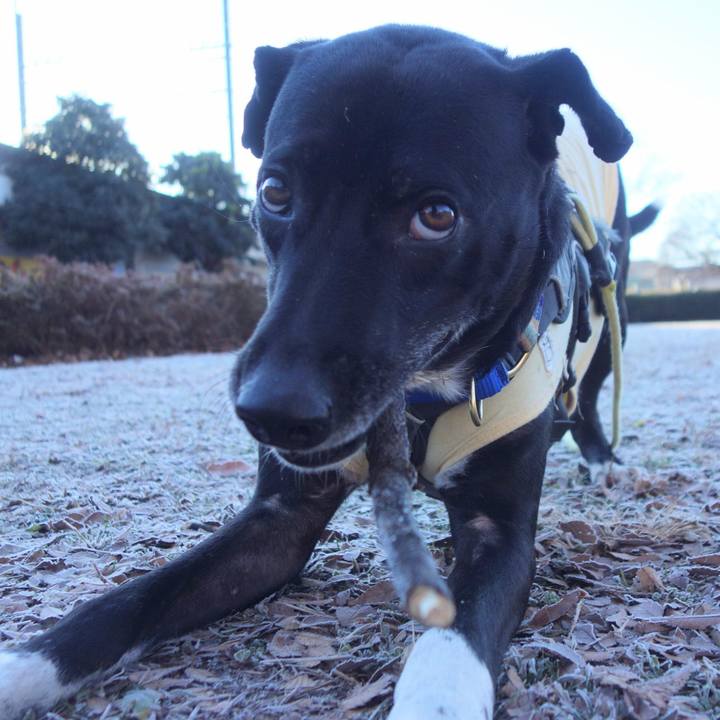 5b61016b 07a0 47d3 b18e 060e2651761c 1641258592938