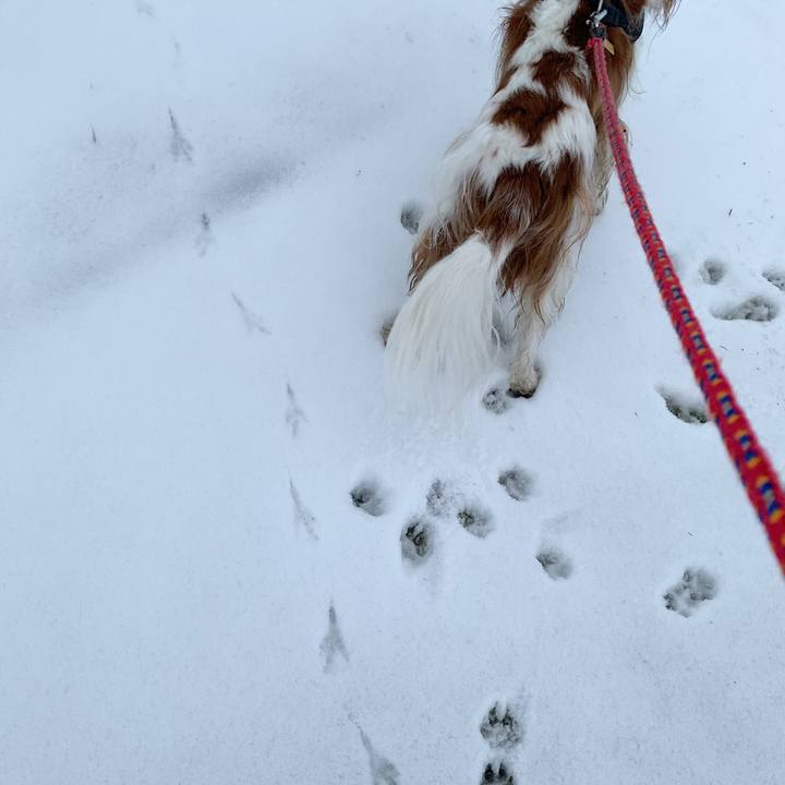 5b61026a 132b 4a55 b1b2 bbaf7705629a 1582188652099