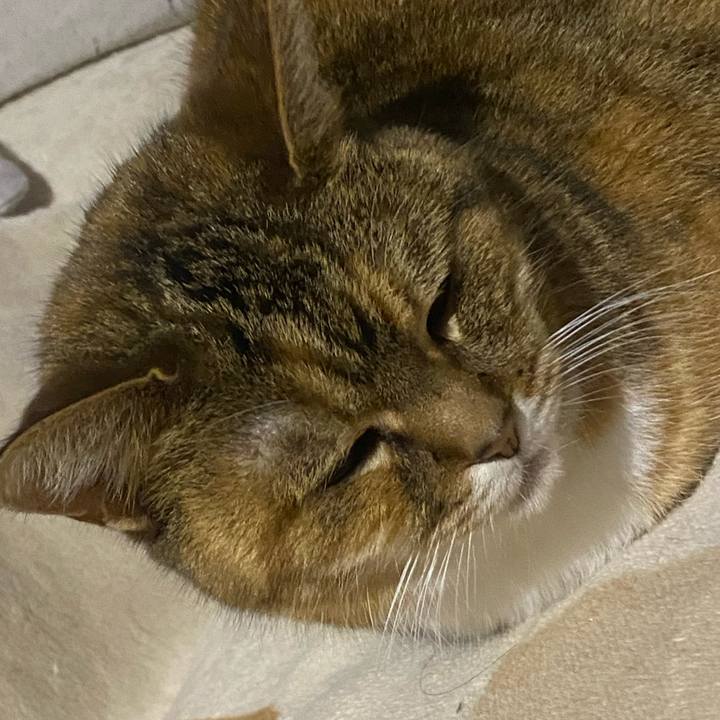 5b6118c6 0b97 453b 92fa 5fc72980ceb3 1677183844114