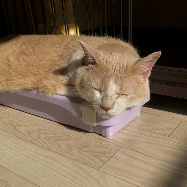 5b61260f 2b6a 456e 98cd 0485a05c6490 1586560906777