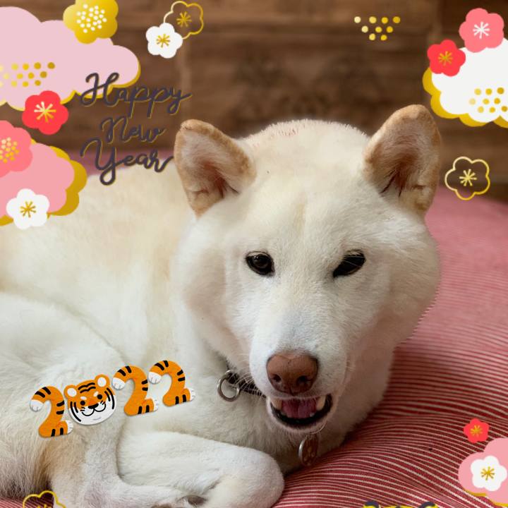 5b612d45 b8bd 4d46 938f 406b64ec4567 1641165734571