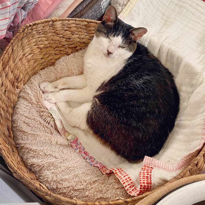 5b612fbc c944 4a5e 9108 64e7ca9e52ed 1596846360376