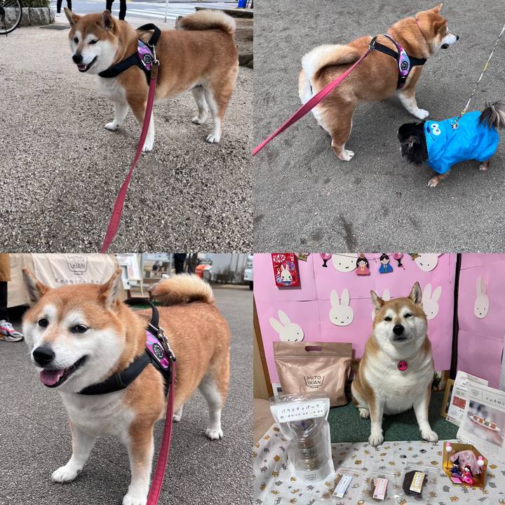 5b61328e 9644 4359 9515 391a96f60c9d 1676796828189