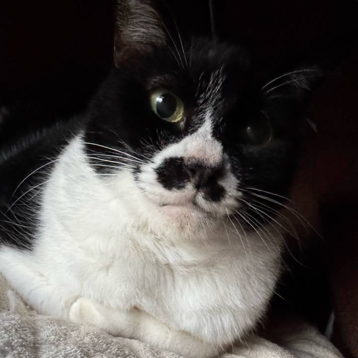 5b6192b3 09bb 4cab ac72 75b84758b976 1764805069724