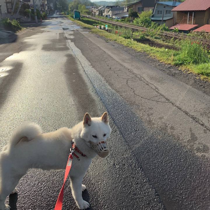 5b61ab04 5dec 428d b0fd e80b6e0610da 1558430079636