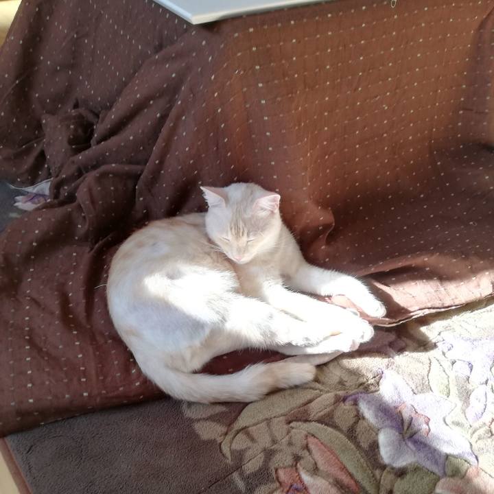 5b61aeea 4a0f 4423 ab79 c8d495d932ac 1603001981352